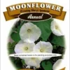 Moonflower White Seeds