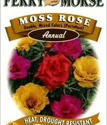 Moss Rose Double Mix Seeds