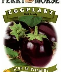 Eggplant Black Beauty Seeds