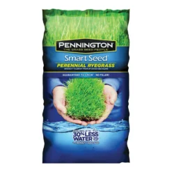 3-Pound Perennial Ryegrass Seed