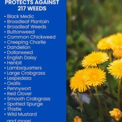 32-Ounce, Ready To Spray, All-In-One, Lawn Weed And Crabgrass Killer -Roundup Sales Store 1398171 ep 1634315637 1