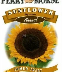 Sunflower Skyscraper Seeds