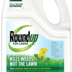 Roundup 1-1/4-Gallon Refill Weed Killer