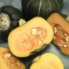 Squash Buttercup Heirloom Seed -Roundup Sales Store 179911 ep 1587057685 0