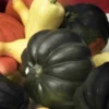 Squash Table Queen Acorn Seed -Roundup Sales Store 180166 ep 1587042203 0