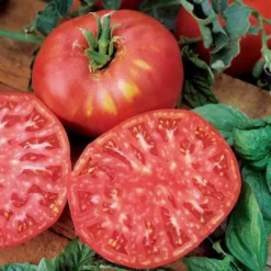 Tomato Brandywine Pink Fruited Heirloom Seed