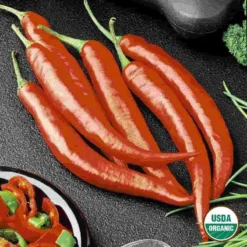Organic Pepper Cayenne Long Slim Seed
