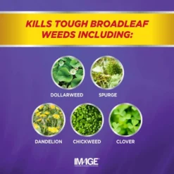 32-Fl. Oz. Southern Lawn Weed Killer Herbicide Ready-To-Spray