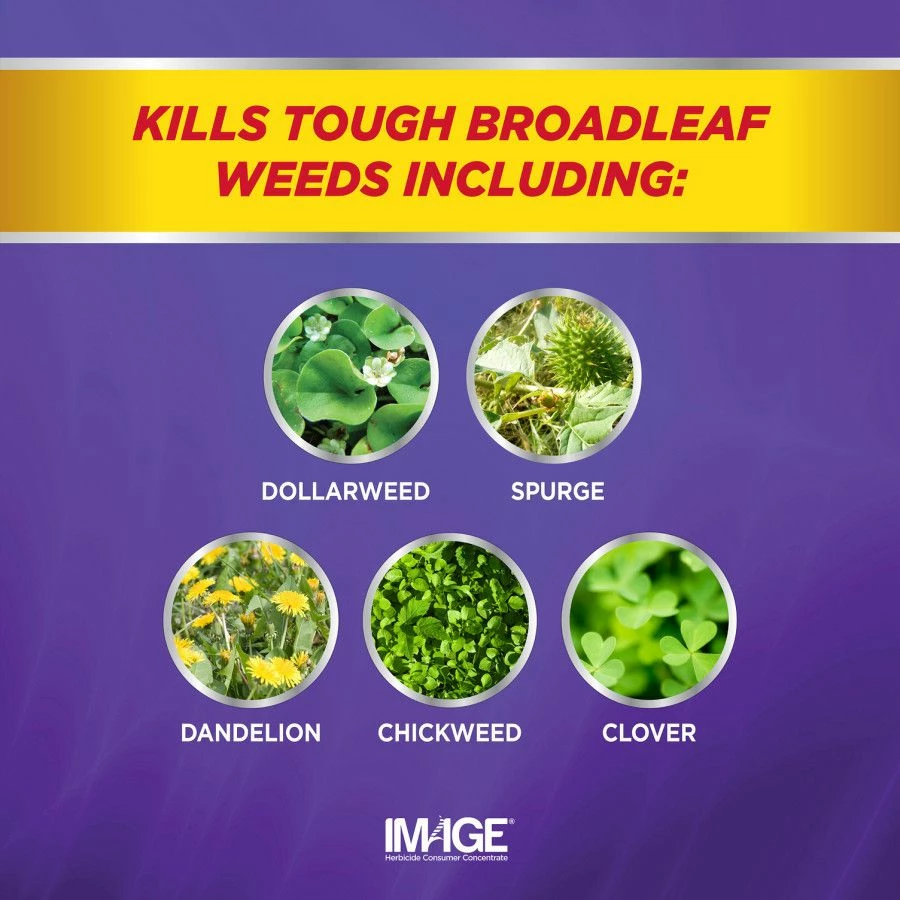 32-Fl. Oz. Southern Lawn Weed Killer Herbicide Ready-To-Spray 3 32-Fl. Oz. Southern Lawn Weed Killer Herbicide Ready-To-Spray