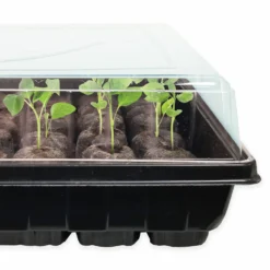 42mm Seed Starting Greenhouse Kit, 25-Pack