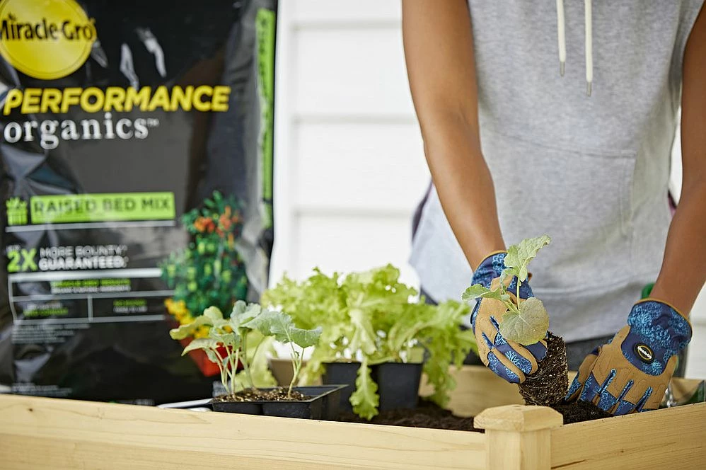1.3 Cu. Ft. Performance Organics™ Raised Bed Mix, 0.11-0.02-0.02 7 1.3 Cu. Ft. Performance Organics™ Raised Bed Mix, 0.11-0.02-0.02 - Image 5
