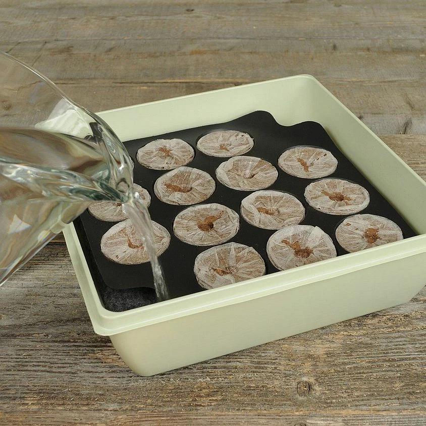 50mm Peat Pellet Self-Watering Seed Starting Greenhouse Kit, 14-Pellets 6 50mm Peat Pellet Self-Watering Seed Starting Greenhouse Kit, 14-Pellets - Image 4