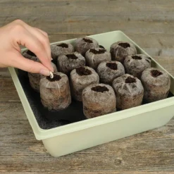 50mm Peat Pellet Self-Watering Seed Starting Greenhouse Kit, 14-Pellets 14 50mm Peat Pellet Self-Watering Seed Starting Greenhouse Kit, 14-Pellets -Roundup Sales Store 2263473 ep 1639599710 4
