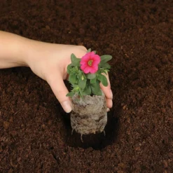 50mm Peat Pellet Self-Watering Seed Starting Greenhouse Kit, 14-Pellets 16 50mm Peat Pellet Self-Watering Seed Starting Greenhouse Kit, 14-Pellets -Roundup Sales Store 2263473 ep 1639599710 6