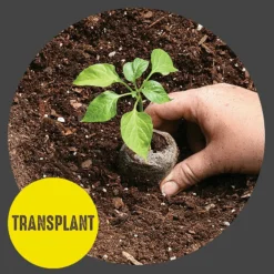 36mm Peat Pellet Seed Starting Greenhouse Kit, 36-Pellets -Roundup Sales Store 2263531 ep 1639457943 4