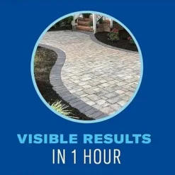 32-Ounce, Super Concentrated Liquid, Weed And Grass Killer -Roundup Sales Store 2350551 ep 1642526702 3