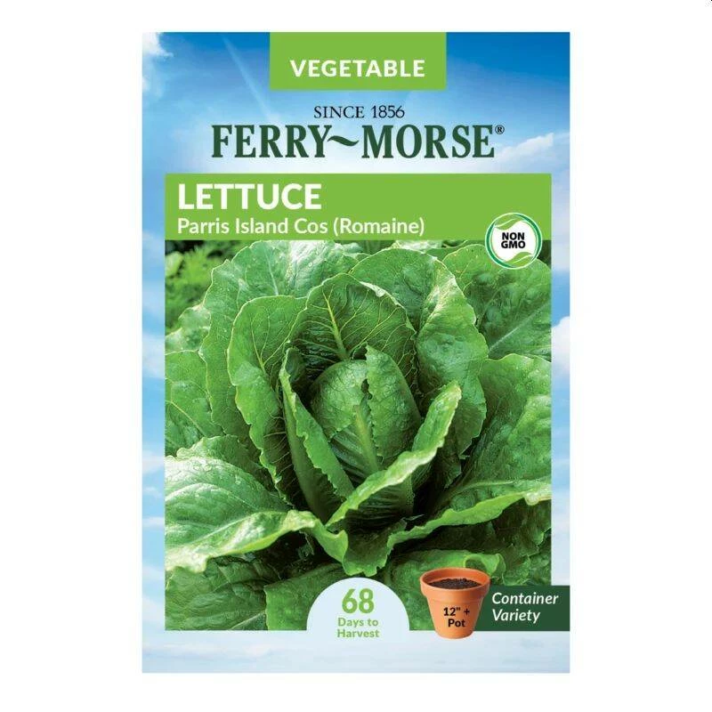 Parris Island Cos Romaine Lettuce 4 Parris Island Cos Romaine Lettuce - Image 2