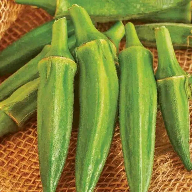 Clemson Spineless Okra 9 Clemson Spineless Okra - Image 7