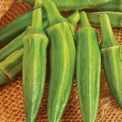 Clemson Spineless Okra 10 Clemson Spineless Okra -Roundup Sales Store 2353266 ep 1641873400 0