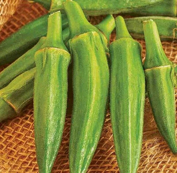 Clemson Spineless Okra 4 Clemson Spineless Okra - Image 2