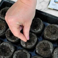 Clemson Spineless Okra 12 Clemson Spineless Okra -Roundup Sales Store 2353266 ep 1641873400 2