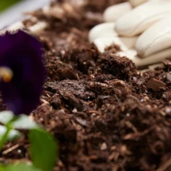 1.5-Cubic Foot Organic Raised Bed Planting Mix Soil -Roundup Sales Store 2641629 ep 1705075455 2