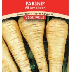 All American Parsnip Seeds