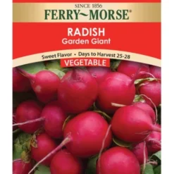 Garden Giant Radish Seeds