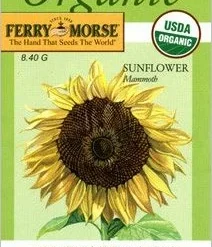 Sunflower Mammoth Seeds