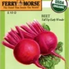 Beet Tall Top Early Seeds -Roundup Sales Store 3012