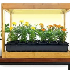 22-1/2 X 17-1/2 X 11-1/2-Inch Bamboo Growhouse With LED Lights