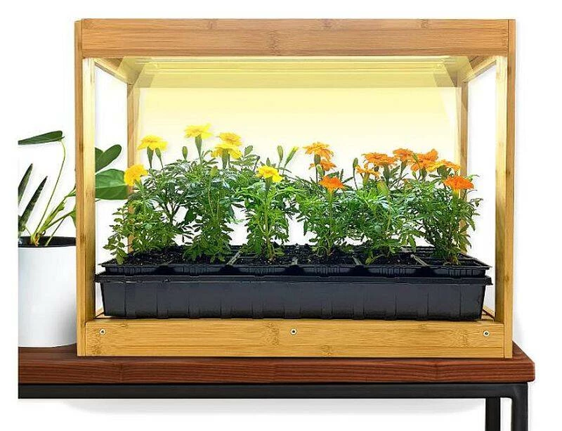 22-1/2 X 17-1/2 X 11-1/2-Inch Bamboo Growhouse With LED Lights 3 22-1/2 X 17-1/2 X 11-1/2-Inch Bamboo Growhouse With LED Lights