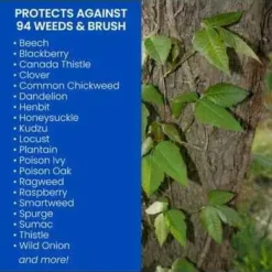 32-Fluid Ounce, Brush Killer Plus Concentrate -Roundup Sales Store 3082070 ep 1696434788 2