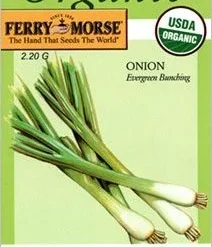 Onion Evergreen Bch Seeds