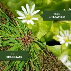 1-Gallon Ready To Use All-In-One Lawn Weed And Crabgrass Killer -Roundup Sales Store 3084688 ep 1696461598 1