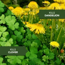 1-Gallon Ready To Use All-In-One Lawn Weed And Crabgrass Killer -Roundup Sales Store 3084688 ep 1696461599 2