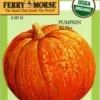 Pumpkin Big Max Seeds -Roundup Sales Store 3107