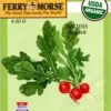 Radish Cherry Belle Seeds