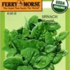 Spinach Bloomsdale Seeds
