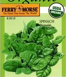 Spinach Bloomsdale Seeds