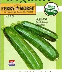 Squash Black Beauty Seeds