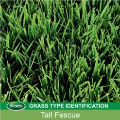 4.75-Pound Patchmaster Tall Fescue Repair -Roundup Sales Store 312702 ep 1693483700 4