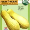 Squash Early Prolif Seeds -Roundup Sales Store 3129