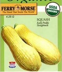 Squash Early Prolif Seeds