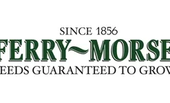 72-Cell And Dome Seed Starting Tray