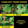 GroundClear Poison Ivy And Tough Brush Killer Ready-To-Use, With Wand, 1-Gallon 2 GroundClear Poison Ivy And Tough Brush Killer Ready-To-Use, With Wand, 1-Gallon -Roundup Sales Store 3300365B