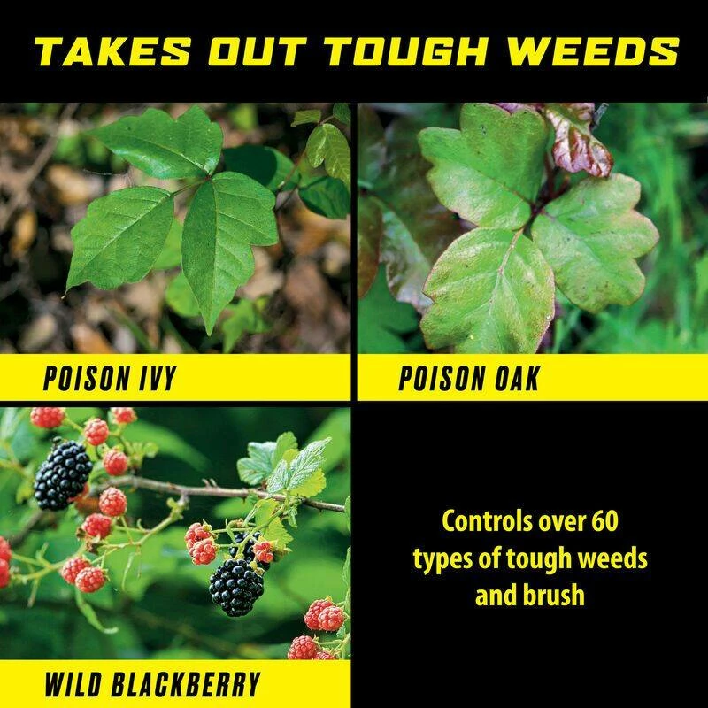 GroundClear Poison Ivy And Tough Brush Killer Ready-To-Use, With Wand, 1-Gallon 3 GroundClear Poison Ivy And Tough Brush Killer Ready-To-Use, With Wand, 1-Gallon