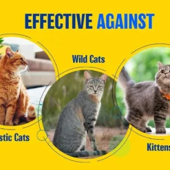 40-Fl.Oz. Cat Repellent Concentrate 12 40-Fl.Oz. Cat Repellent Concentrate -Roundup Sales Store 3317641 ep 1706759515 1