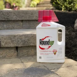Roundup 1/2-Gallon, Weed And Grass Killer Concentrate Plus 14 Roundup 1/2-Gallon, Weed And Grass Killer Concentrate Plus -Roundup Sales Store 3333150 ep 1707098322 2