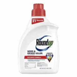 Roundup 1/2-Gallon, Weed And Grass Killer Concentrate Plus 17 Roundup 1/2-Gallon, Weed And Grass Killer Concentrate Plus -Roundup Sales Store 3333150 ep 1707099579 0